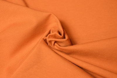 Jersey uni GOTS | Amber